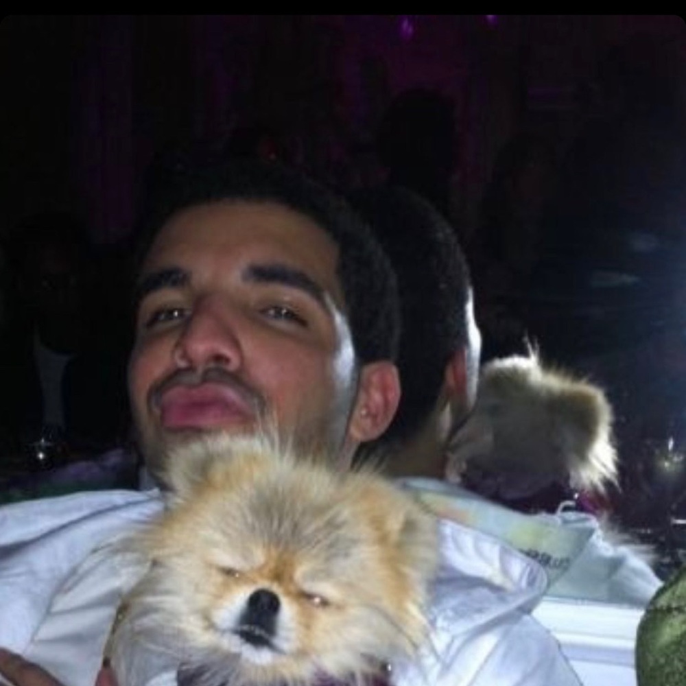 Meet your Posher, Camila